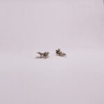 Aviskara Earrings - Image 6