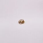 Bhaksya Brooch - Image 5