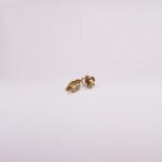 Sphita Earcuff